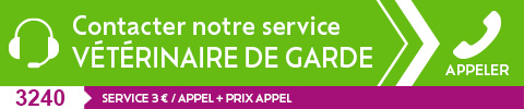 contacter vétérinaire